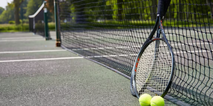 Bailiffs Court, Dog-Friendly Hotel