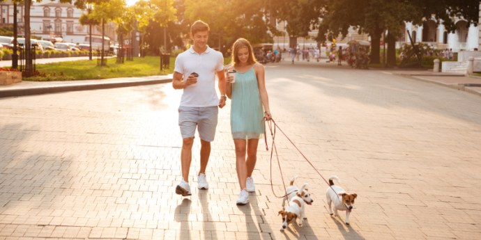 Top Dog-Friendly Holidays for Walks, Celebrations and Adventures!