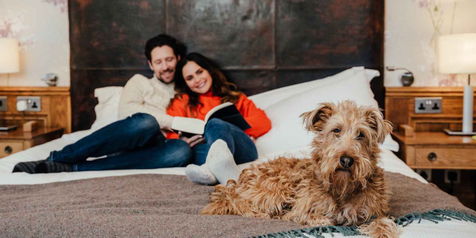 Dog-Friendly Babymoon