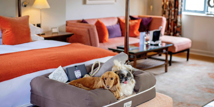 Dog-Friendly Whatley Manor