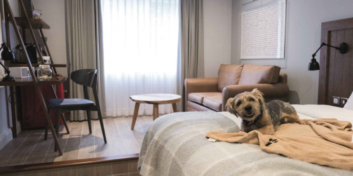 Dog-Friendly North Lakes