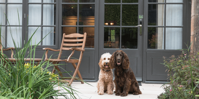 Dog-Friendly Lygon Arms Hotel