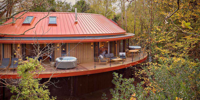 Dog-Friendly Treehouses