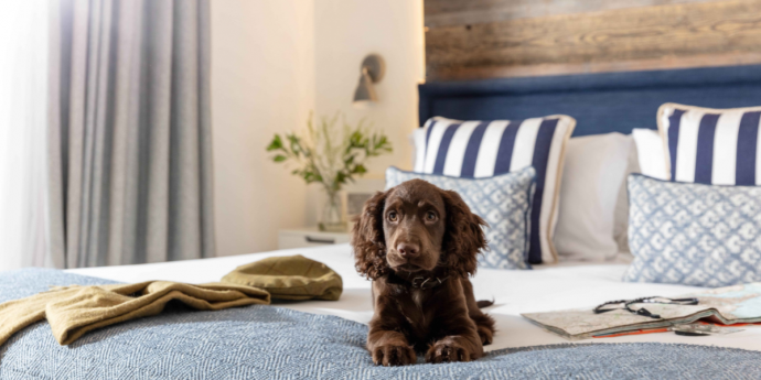 Dog-Friendly St Michaels Resort