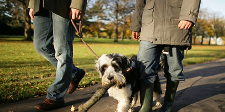 Dog-Friendly Cliveden House
