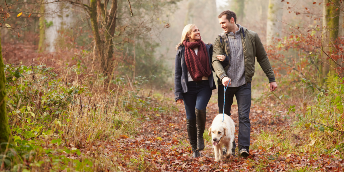 PetsPyjamas Unforgettable Dog Walking Holidays