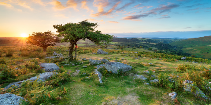 Dartmoor National Park