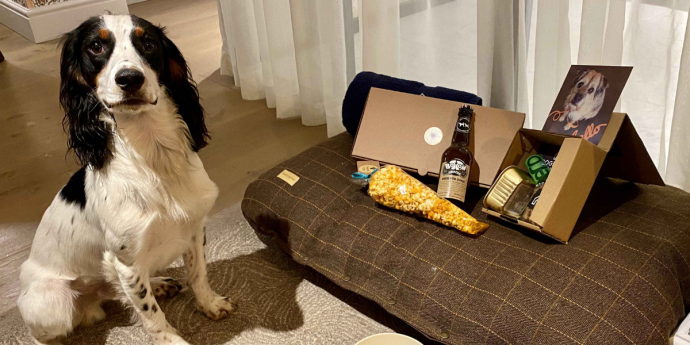 Dog-Friendly Homewood Hotel