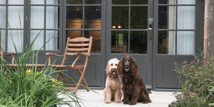 Dog-Friendly Lygon Arms