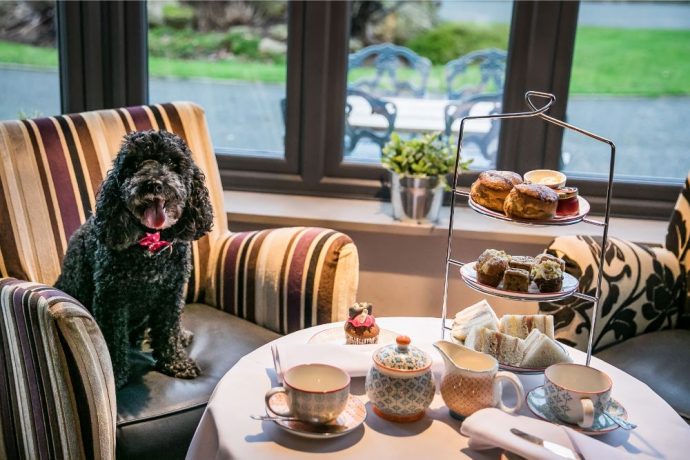 10 Pawfect Dog-Friendly Foodie Getaways for Furry Friends