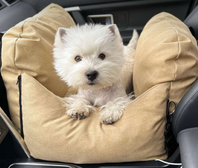 Dog Car Seats