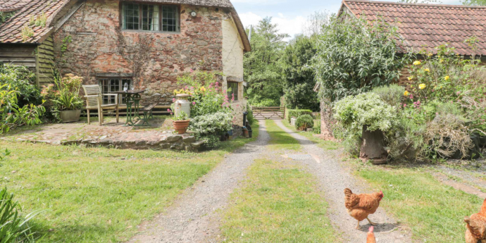 Dog-Friendly Cottage
