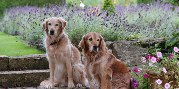 Get To Know Ursula Daphne Aitchison with Wisdom Panel
