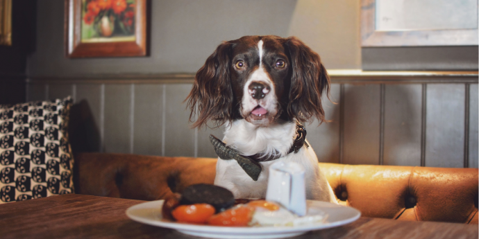 7 Best Dog-Friendly Pubs in Oxfordshire