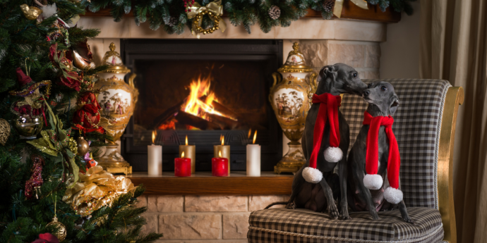 Celebrate a Festive Getaway in London with Your Dog This Christmas