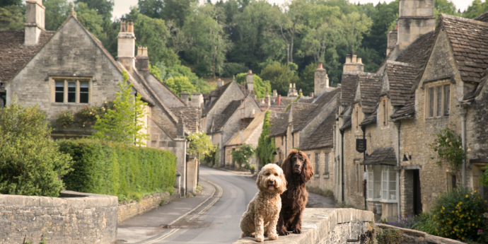 Our Top 10 Cottagecore Dog-Friendly Holidays for the Autumn
