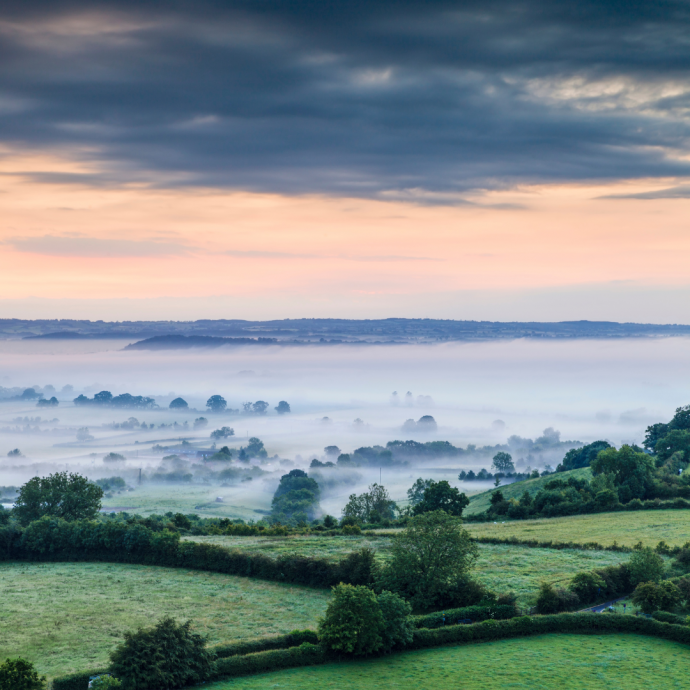 Why Dog Owners Love Somerset: A Guide to Dog-Friendly Holidays in Somerset
