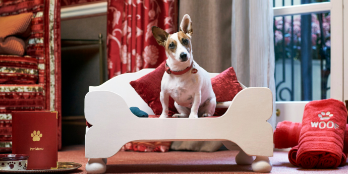 The Egerton House Hotel