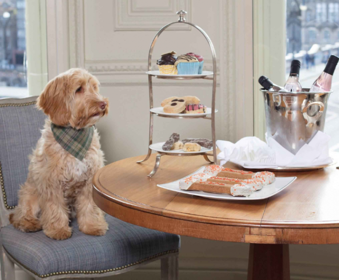 Dog-Friendly Balmoral Hotel