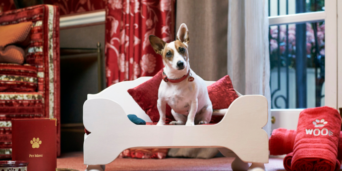 dog-friendly london