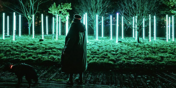 Dog-Friendly Light Trail