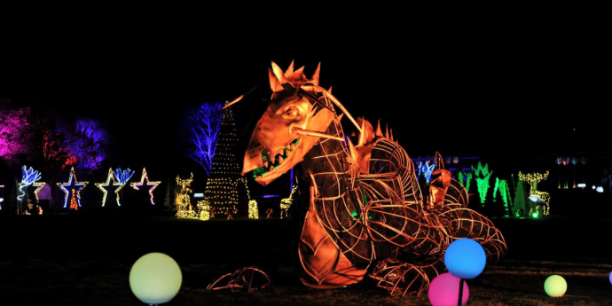 Dog-Friendly Christmas Light Trail