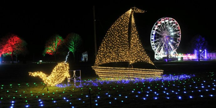 Dog-Friendly Christmas Light Trail