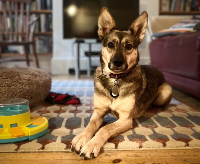 Sophie from Romania