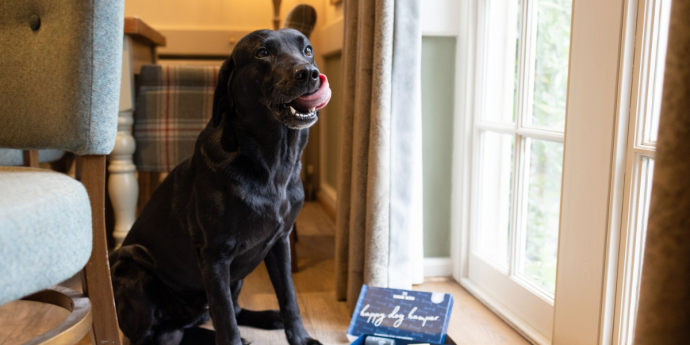 Dog-Friendly The Bell Inn