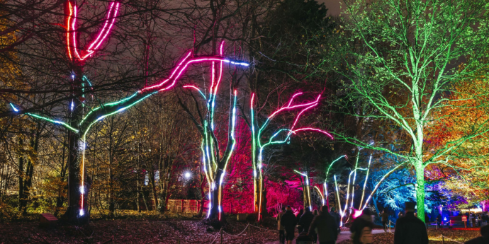 Dog-Friendly Light Trail