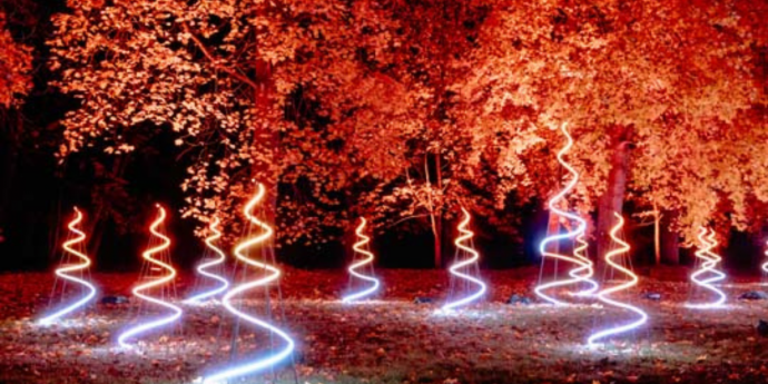 Top 7 Dog-Friendly Christmas Light Trails 2024