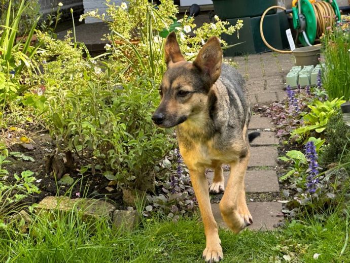 Sophie from Romania