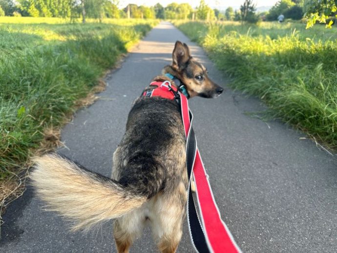 Sophie from Romania