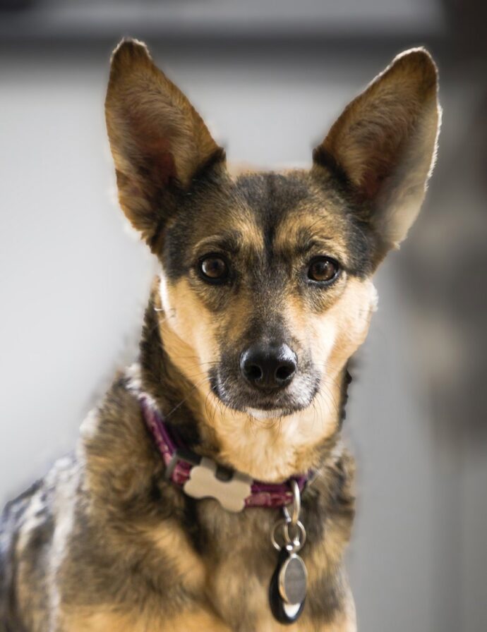 sophie from romania