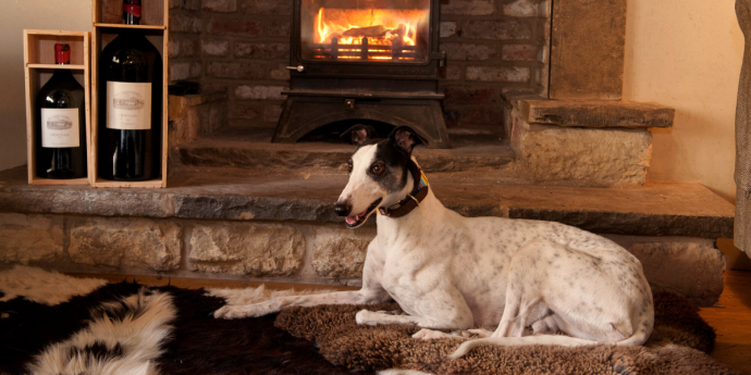 Dog-Friendly Hotel in Yorkshire