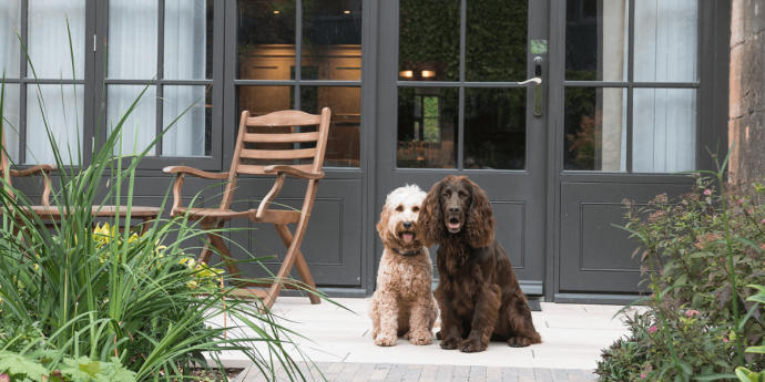 Dog-friendly Lygon Arms