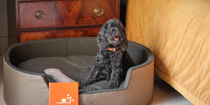 Dog-Friendly Spa Hotel