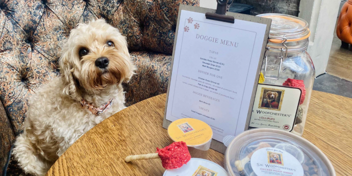 Dog-Friendly Spa Hotel