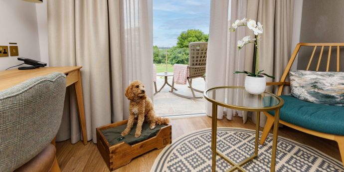 Dog-Friendly Spa Hotel
