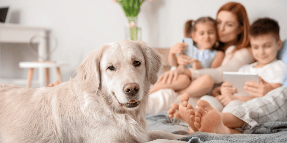 Whole family and dog