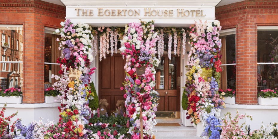 The Egerton House dog-friendly afternoon tea