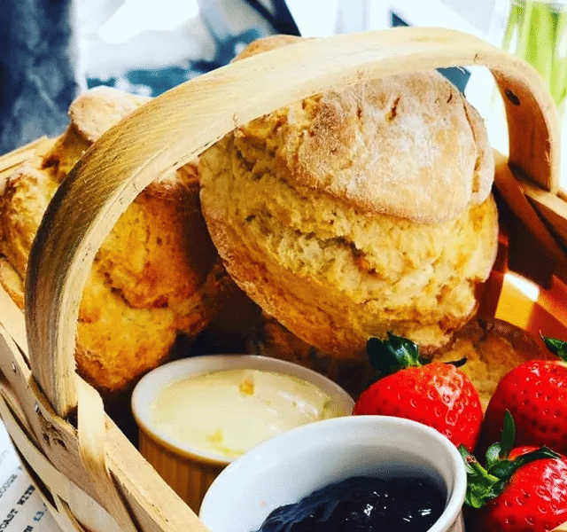 dog-friendly afternoon tea