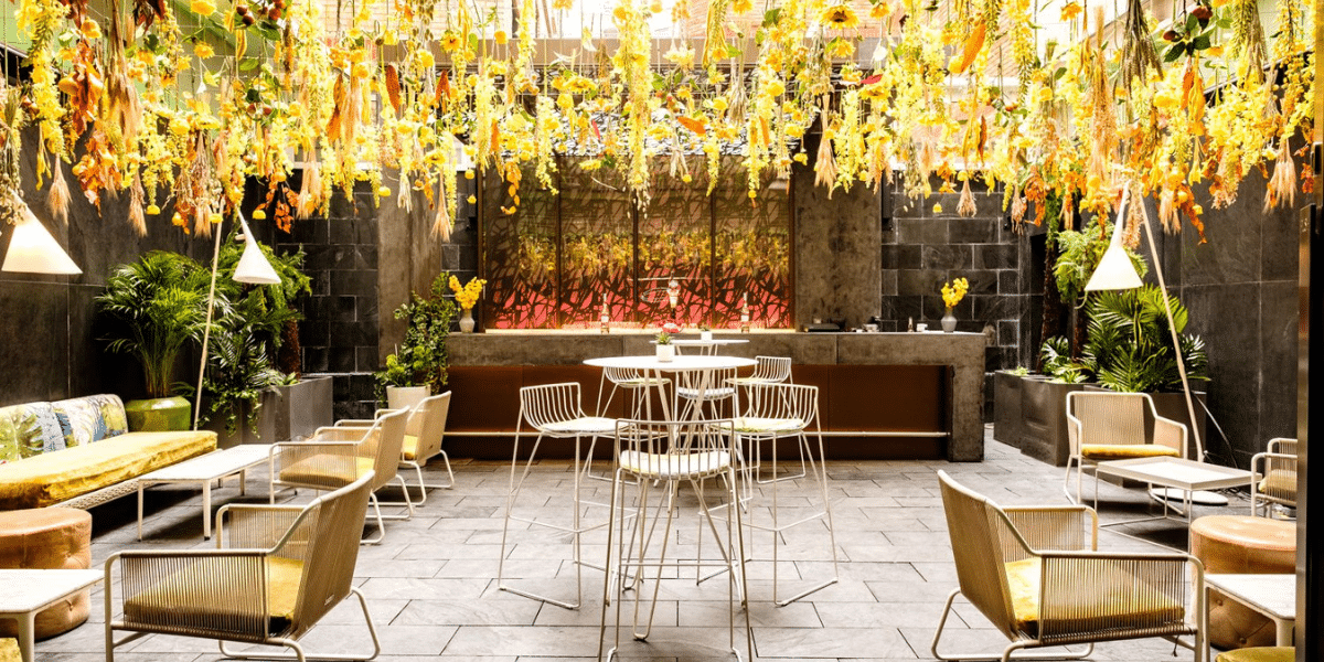 dog friendly south place hotel