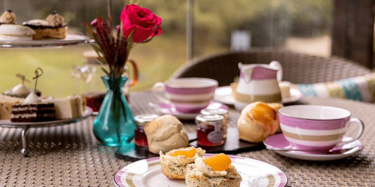 dog afternoon tea