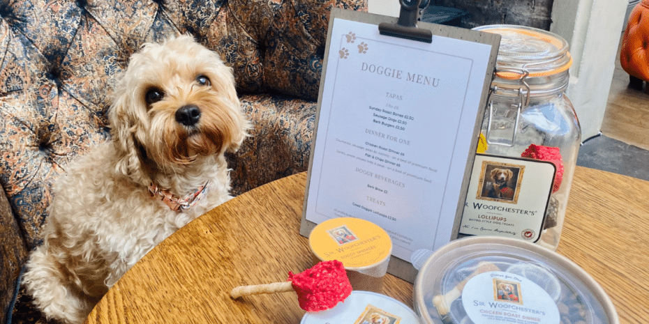 ellenborough park dog-friendly afternoon tea