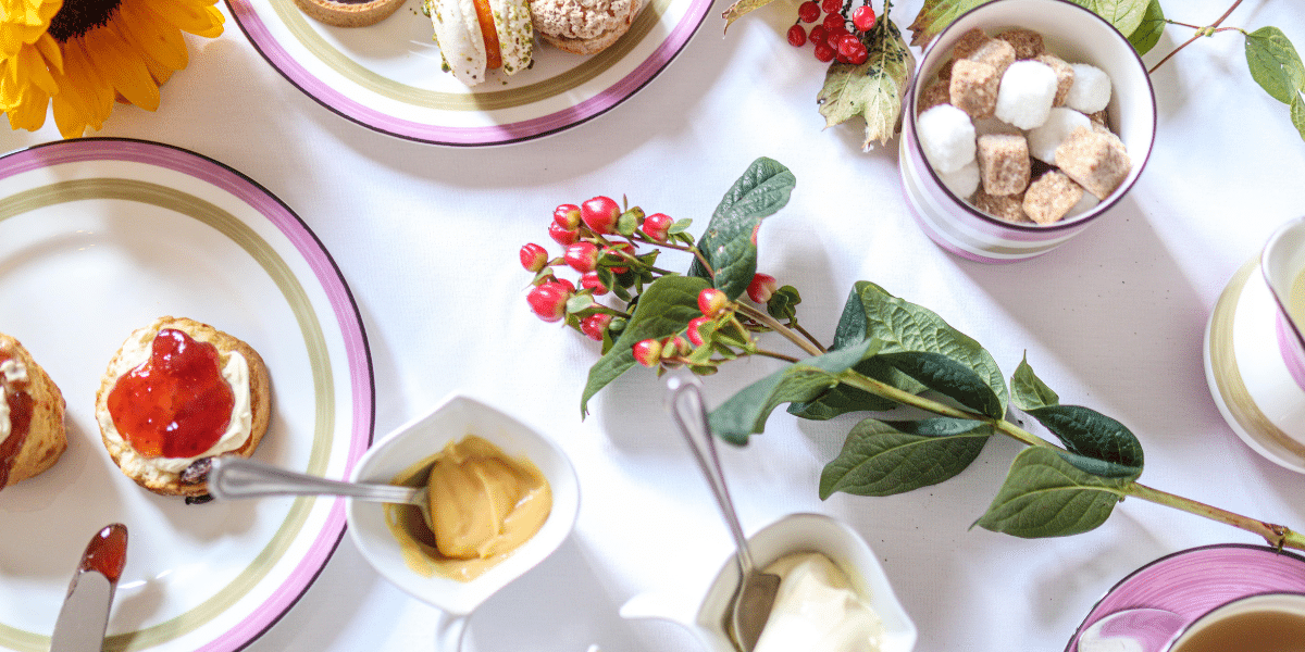 dog afternoon tea
