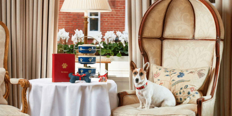 The Egerton House dog-friendly afternoon tea