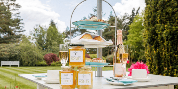dog friendly barnett hill afternoon tea
