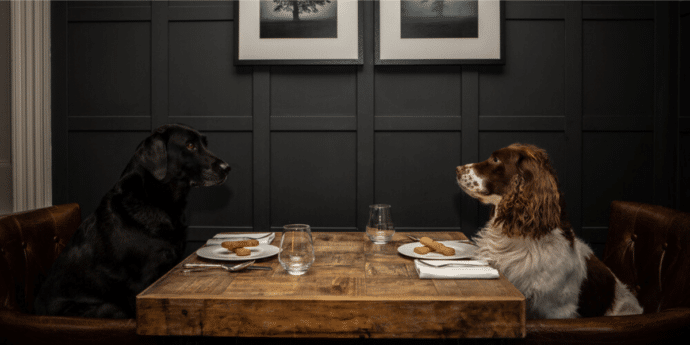 Best Dog Friendly Gourmet Dining Experiences