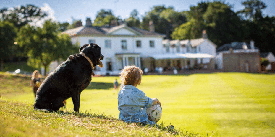 dog friendly kesgrave hall